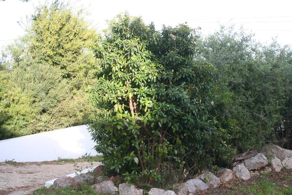 Casa Do Farol Da Arrabida Villa Portinho da Arrabida Ngoại thất bức ảnh